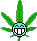 :buds :buds